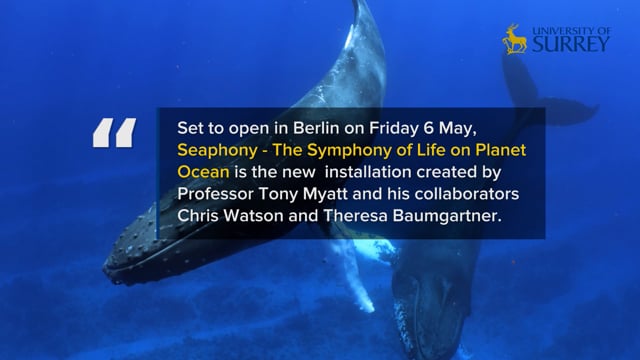 sea_life_final-627106777ee19f48f360aae6_May_03_2022_16_30_40 (3).mp4