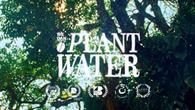 We Can Plant Water - Staff Picks