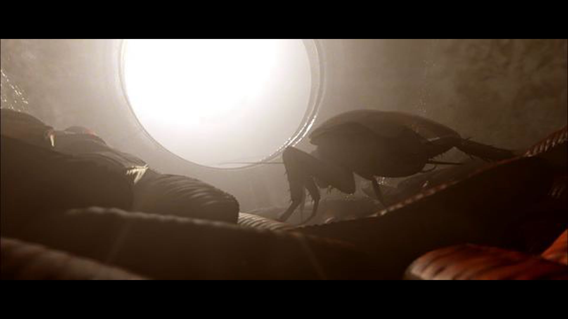 Ecliptic