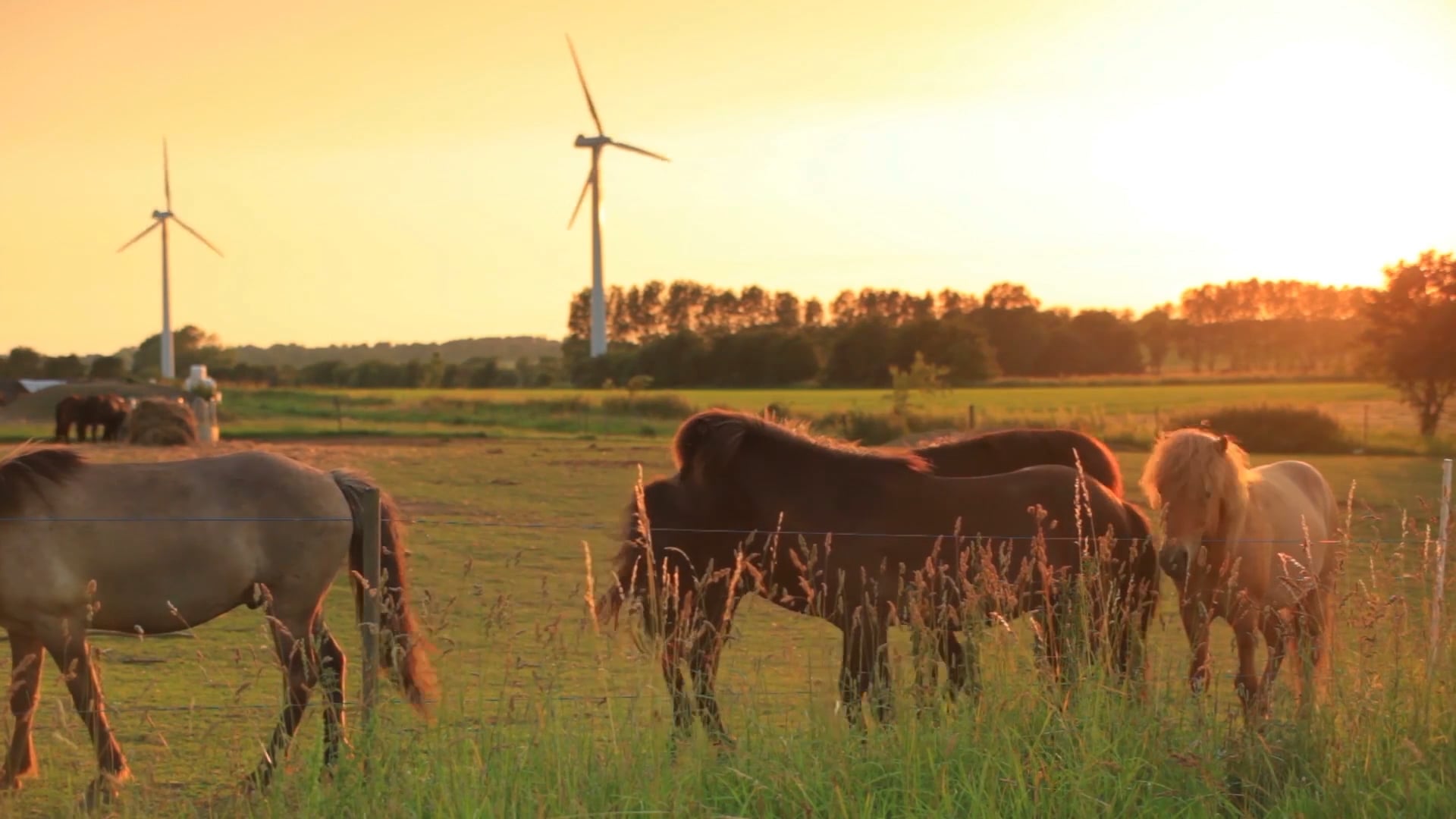 When Floodwaters Rise: Stand For God | May 22, 2022
