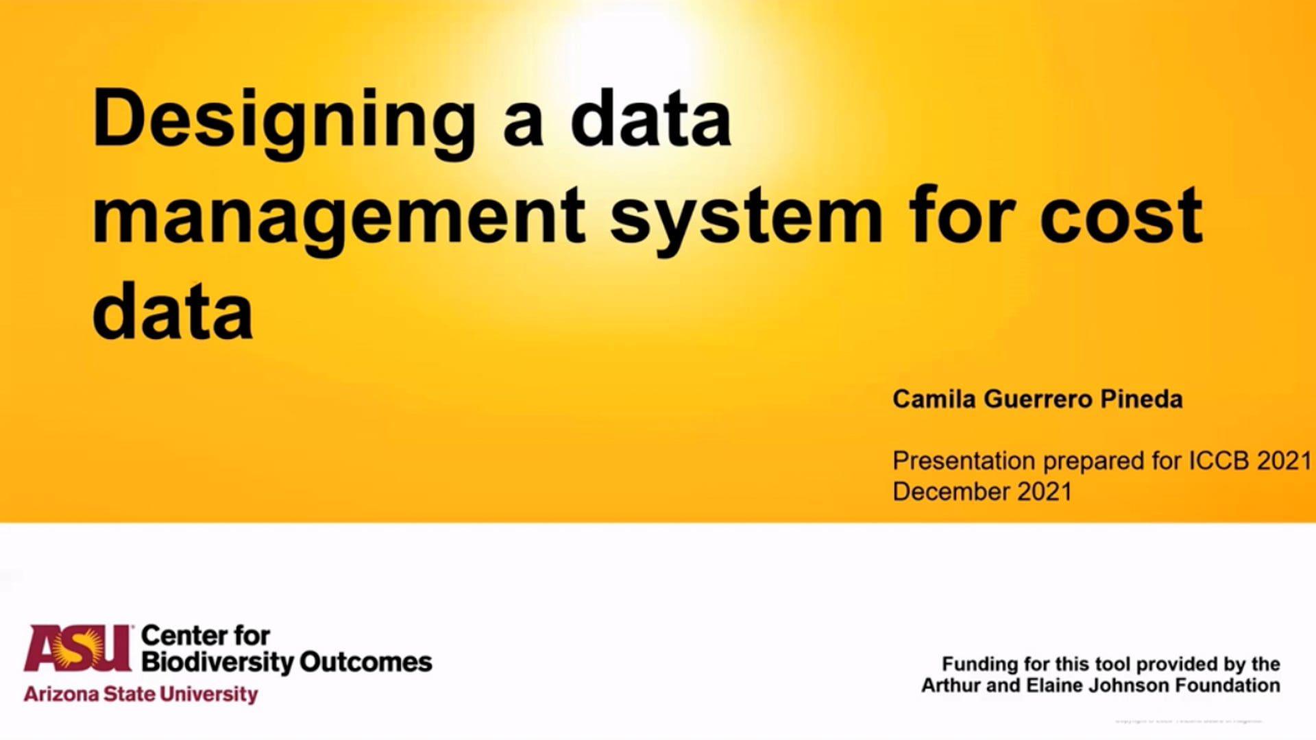 Module 4. Designing a Data Management System for Cost Data