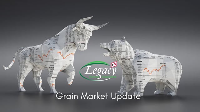 Grain Market Update 5/17/22