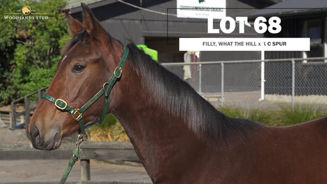 Lot 68