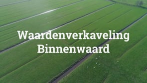 Peter de Ruyter | Waardenverkaveling Binnenwaard