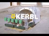 Die aus Glasfaser verst&amp;auml;rktem Kunststoff hergestellte Gruppen-K&amp;auml;lberiglu bietet Platz f&amp;uuml;r bis zu 5 K&amp;auml;lber (lokale Tierschutzbestimmungen sind zu beachten). Auf der R&amp;uuml;ckseite ist ein Schiebefenster angebracht, das u. a. die Tierkontrolle und auch das Bef&amp;uuml;llen der optionalen Heuraufe erleichtert.  Der zus&amp;auml;tzliche Verst&amp;auml;rkungsrahmen rund um die K&amp;auml;lberh&amp;uuml;tte garantiert h&amp;ouml;chste Stabilit&amp;auml;t.  Die K&amp;auml;lberh&amp;uuml;tte mit Umz&amp;auml;unung bietet optimale &amp;Uuml;bersicht und erleichtert die Tierkontrolle.  Fresspl&amp;auml;tze k&amp;ouml;nnen einzeln versperrt werden Seitengitter k&amp;ouml;nnen einfach nach hinten an die H&amp;uuml;ttenw&amp;auml;nde geschwenkt werden einfacher Zugang via gro&amp;szlig;e Eingangst&amp;uuml;re, auch K&amp;auml;lberwagen passt durch T&amp;uuml;r vorgebohrte L&amp;ouml;cher an Kufen f&amp;uuml;r Strohfang und zur Bodenverankerung Leichter Transport der H&amp;uuml;tte und Umz&amp;auml;unung mit Traktor Tr&amp;auml;nkeeimer und Langfuttertr&amp;ouml;ge sind im Lieferumfang nicht enthalten Ma&amp;szlig;e: Au&amp;szlig;enma&amp;szlig; Iglu 238 x 223 x 189 cm Au&amp;szlig;enma&amp;szlig; Umz&amp;auml;unung 209 x 221 x 120 cm Gesamtgewicht ca. 210 kg Lieferumfang: K&amp;auml;lberh&amp;uuml;tte inkl. Verst&amp;auml;rkungsrahmen und Holzschwelle, Umz&amp;auml;unung inkl. Fanggitter, Hebe&amp;ouml;sen, Tr&amp;auml;nekeimerhalter und 2 Troghalter (Tr&amp;ouml;ge Art. 24621 nicht im Lieferumfang enthalten) Geeignet nach Tierschutzbestimmungen! (Lokale Bestimmungen sind zu beachten)  Die Lieferung erfolgt frachtfrei per Spedition!!! (Achtung es muss hier eine entsprechende Abladehilfe wie Frontlader oder Gabelstapler vorhanden sein!!!)