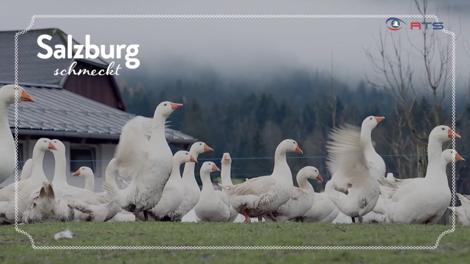 begruessung-salzburg-schmeckt-18-05-2022