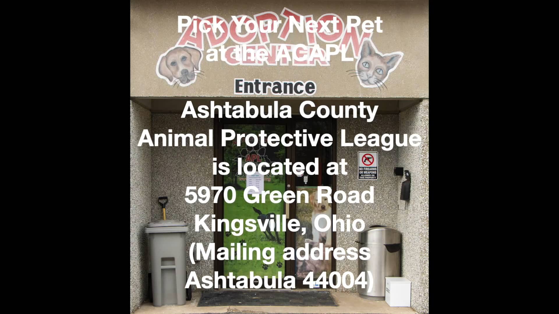 Ashtabula County Animal Protective League Pick Your Pet 51622 on Vimeo