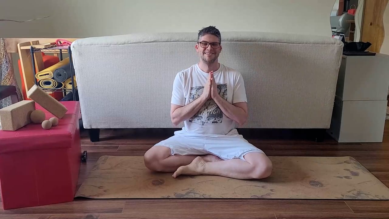 2.6 Vikriyā Aṣṭāṅgāsana - La métamorphose de la chenille (20min)