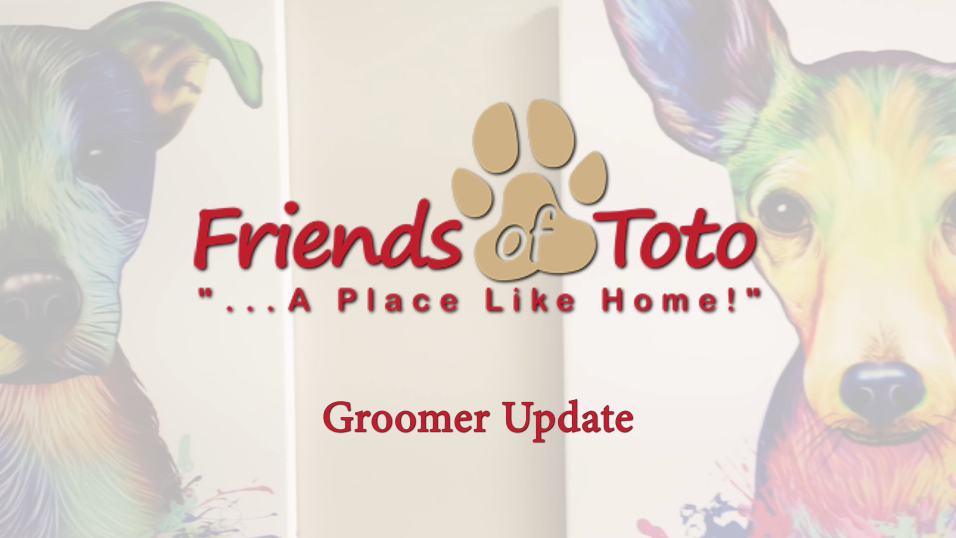 Friends of Toto, Groomer Update