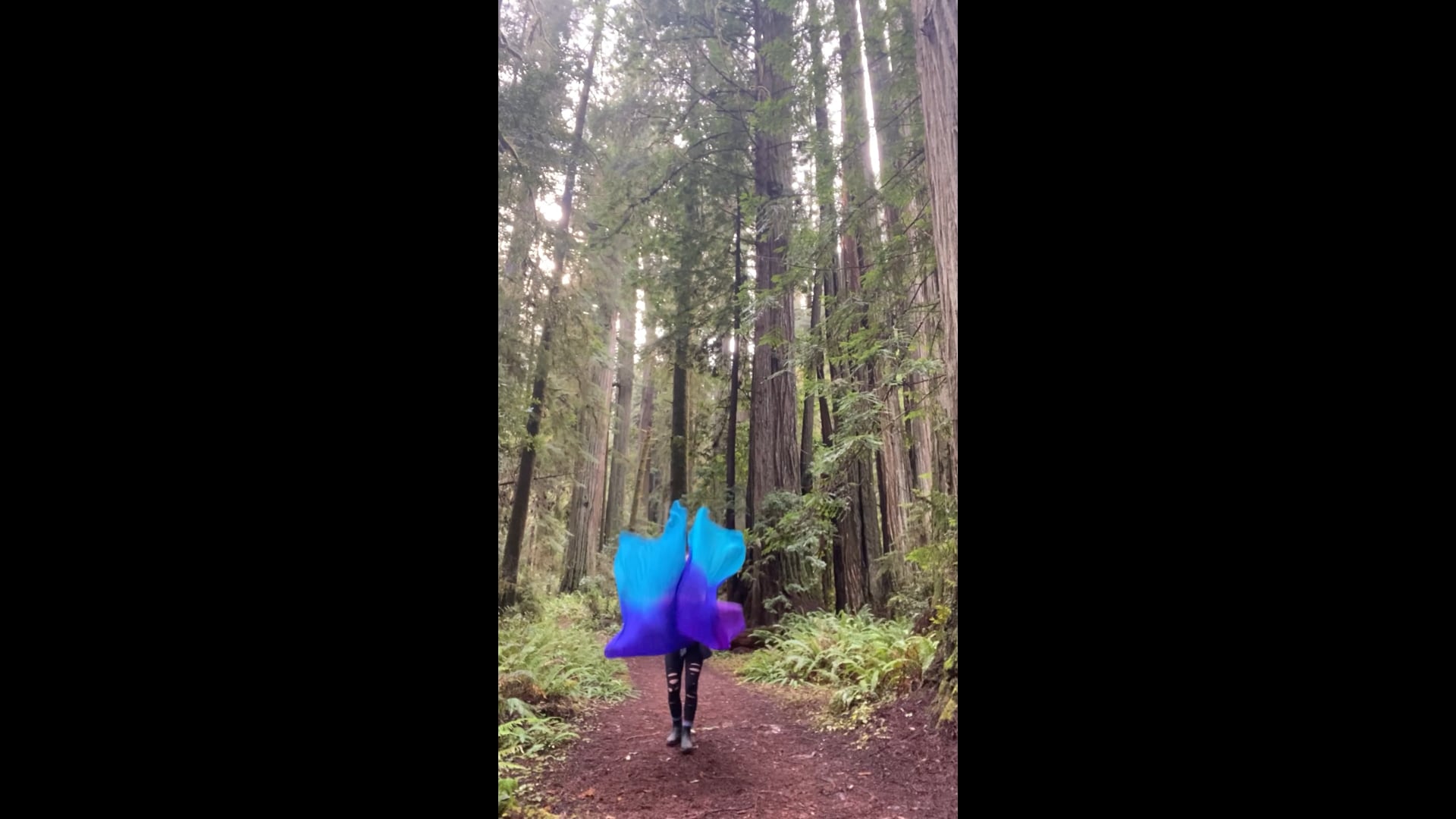 Promotional video thumbnail 5 for Syncrnss Spins