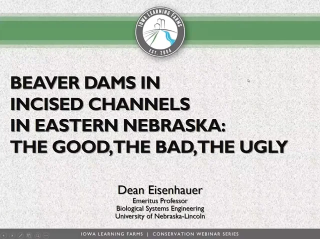 A keystone species: Beavers have huge impact on wetlands - Farm and Dairy