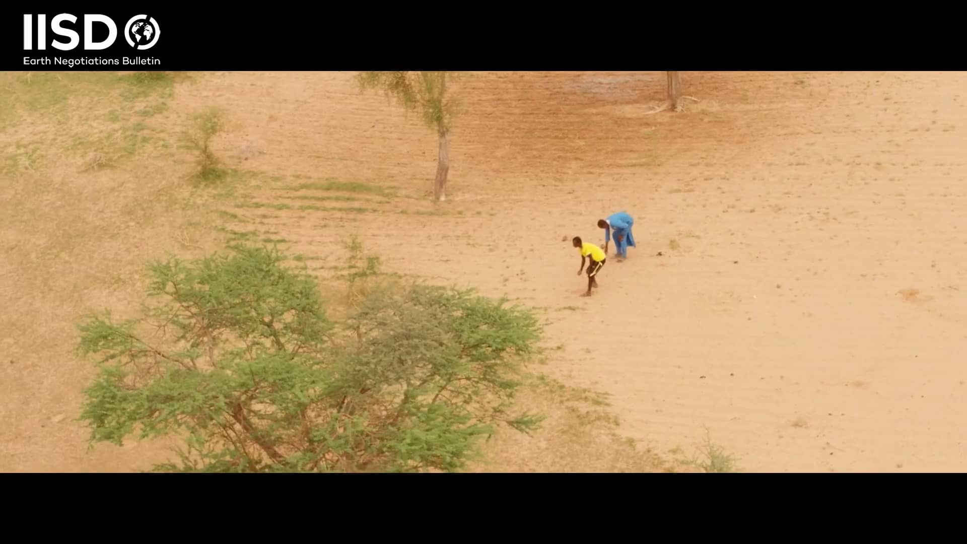 Progress on the Great Green Wall on Vimeo