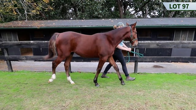 Lot 97
