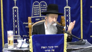 סודות הזוהר הקדוש ויום לג בעומר • הילולת רשבי זיעא אייר תשפב