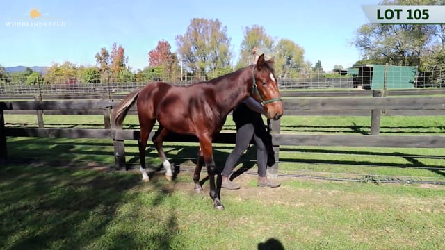 Lot 105