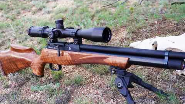 Daystate Revere review! - Airgun101