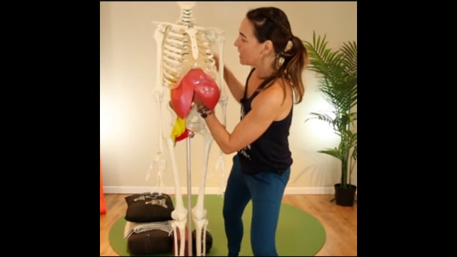 Yoga f(x)™️ - Pour le diaphragme et les épaules