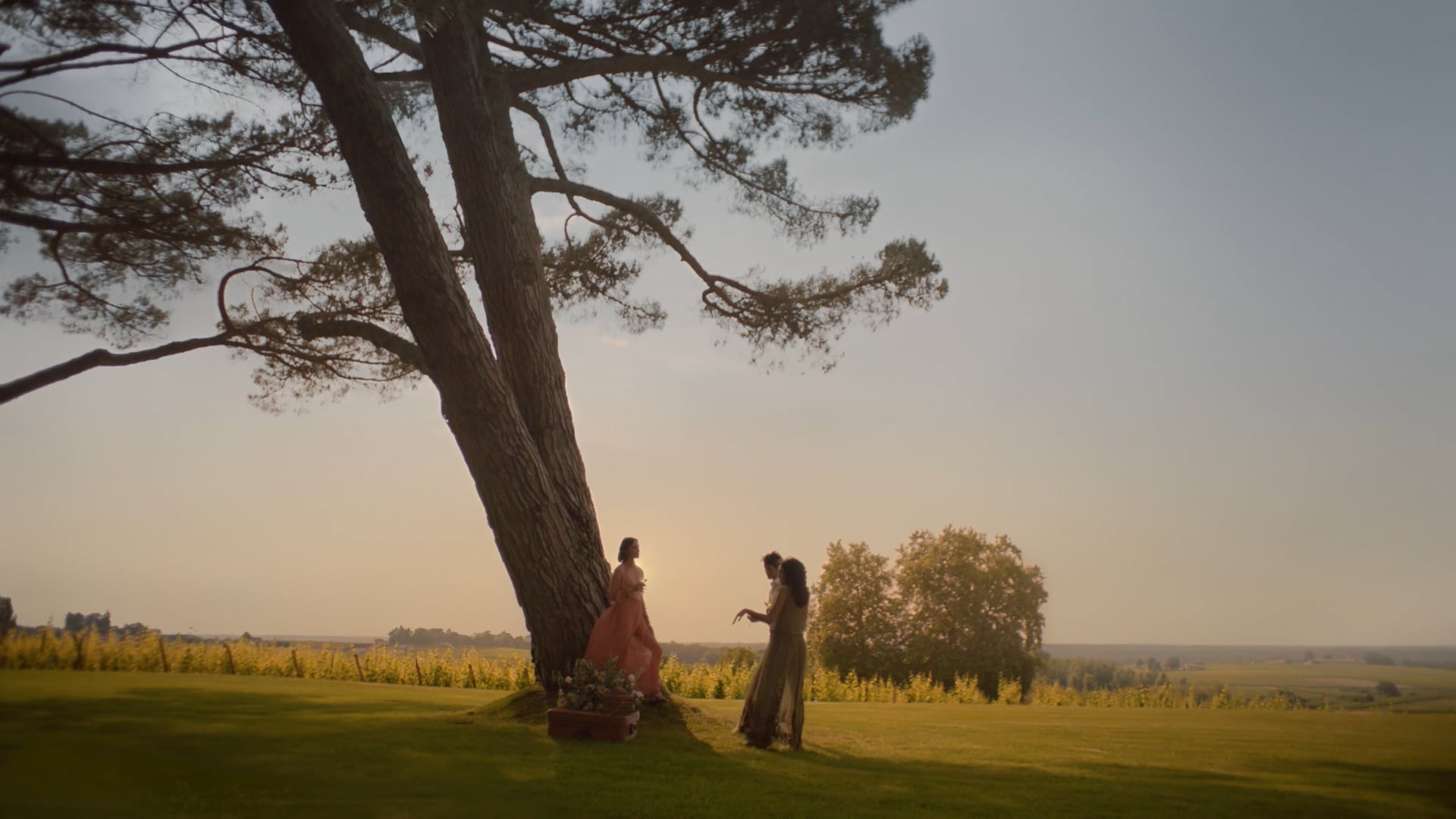 CHATEAU D'YQUEM - A NEW DAWN
