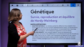 video : survie-reproduction-et-equilibre-de-hardy-weinberg-3497