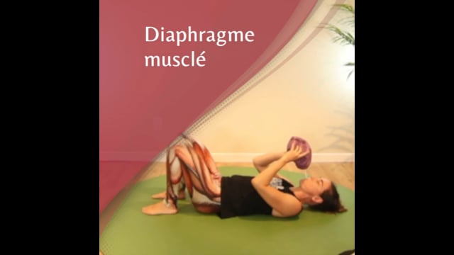 Yoga f(x)™️ Express - Diaphragme musclé