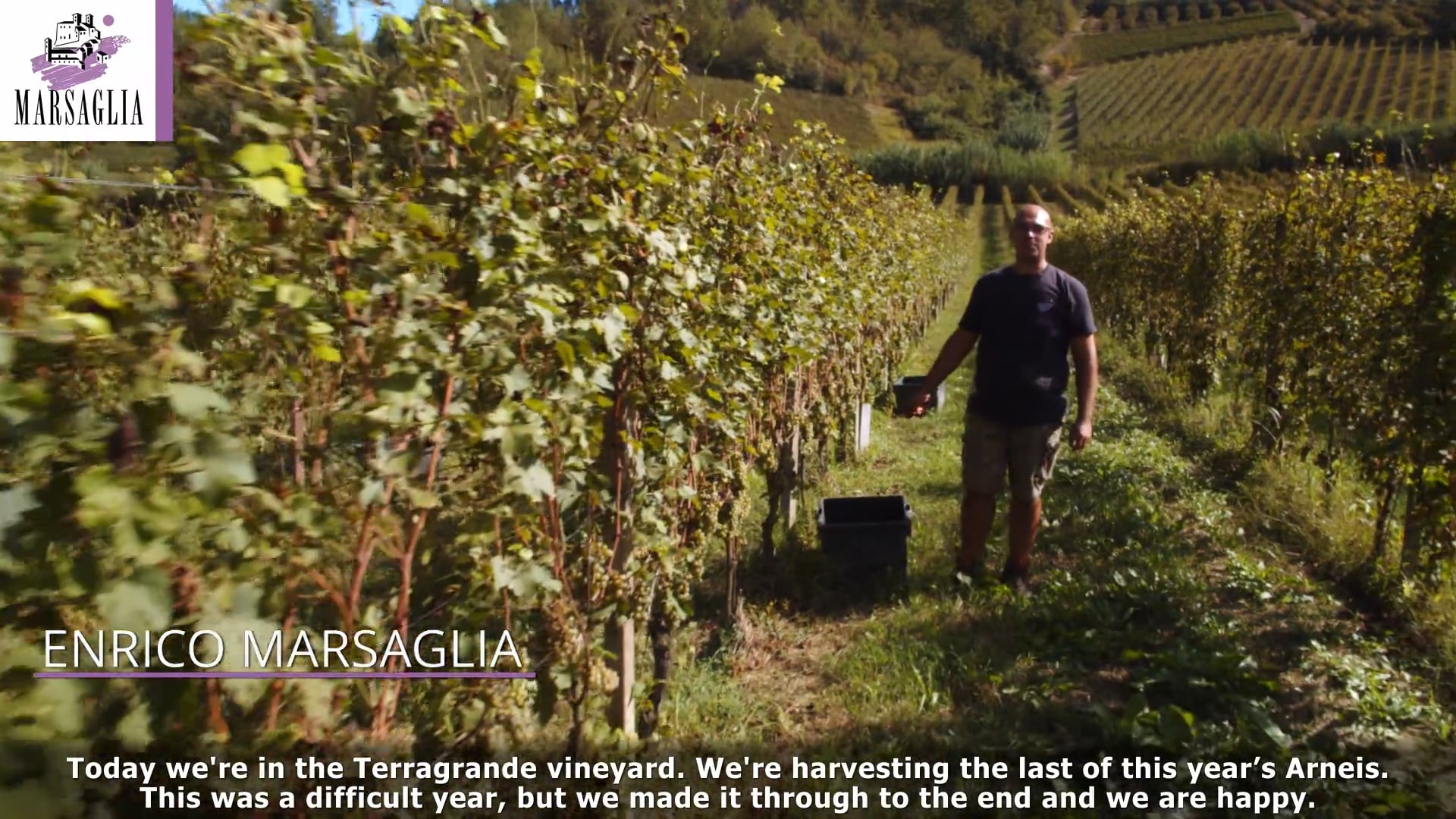 Vendemmia 2021 | Arneis