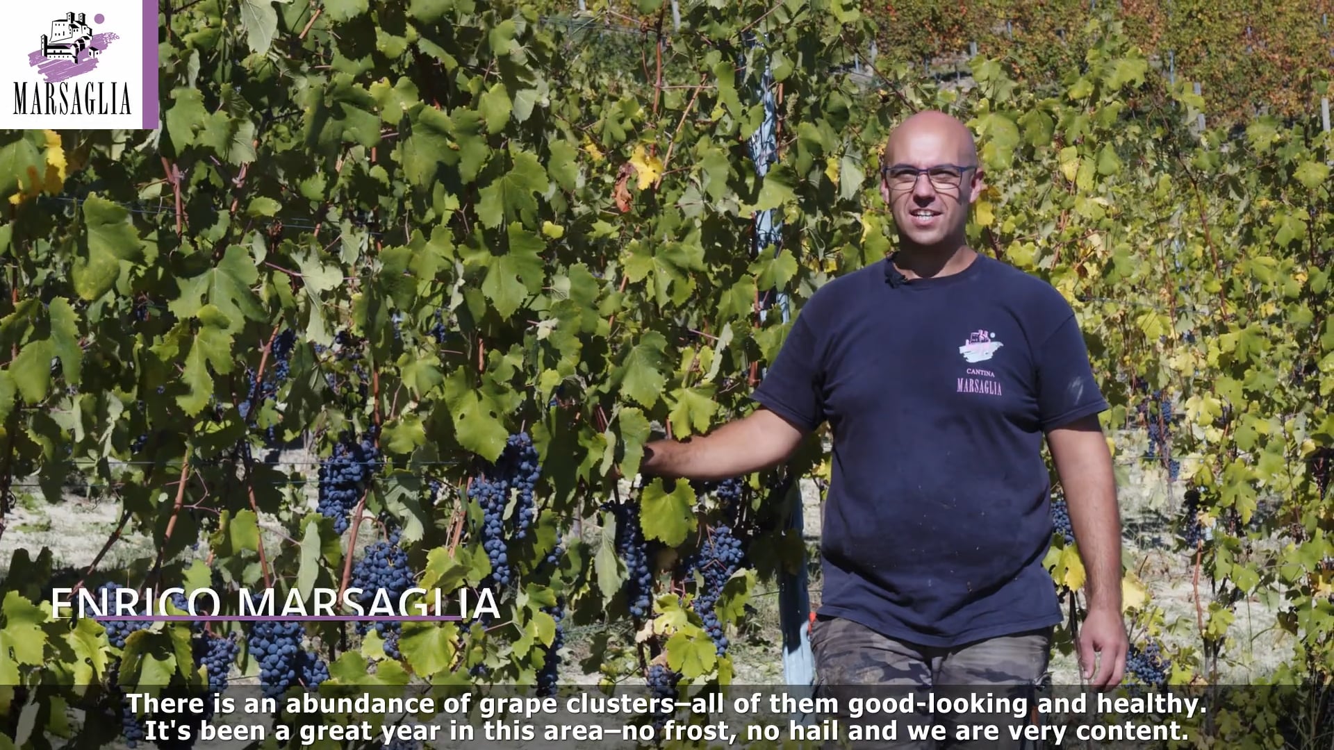 Vendemmia 2021 | Nebbiolo d'Alba