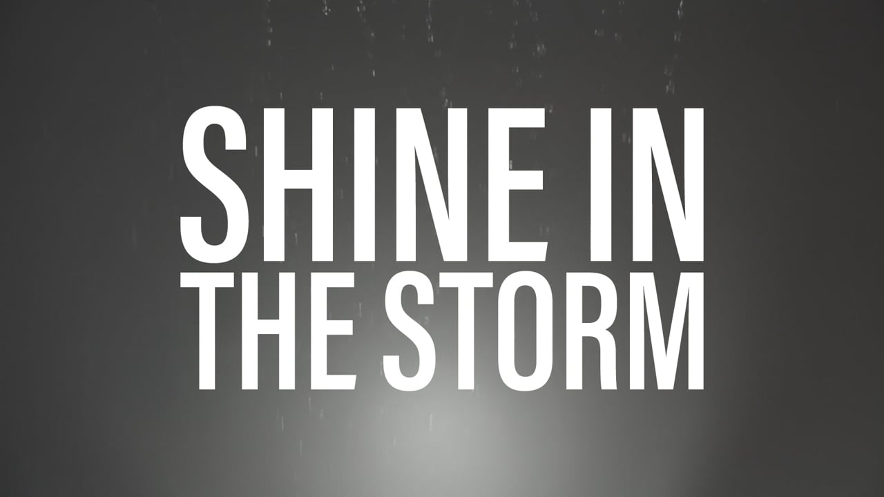 Steve Madden Hairbrella