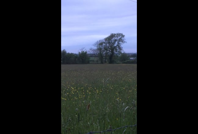 Video 1: