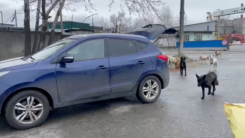https://i.vimeocdn.com/video/1435260293-fc6cad59e0581ec455ef1e1fd0c8905a9591b33b0c5f4a9f9dea69cfbb7a755b-d