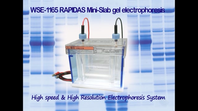 WSE 1165_ラピダス ミニスラブ電気泳動槽_使用方法_JPN