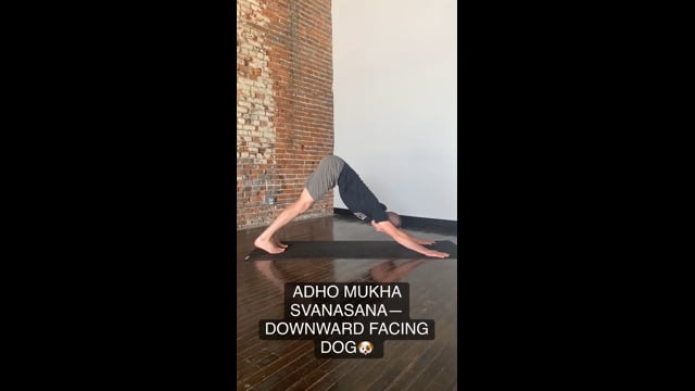 Downward-Facing Dog Pose 