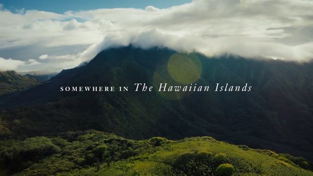 035B-416997-Reforestation-MalamaHawaii30