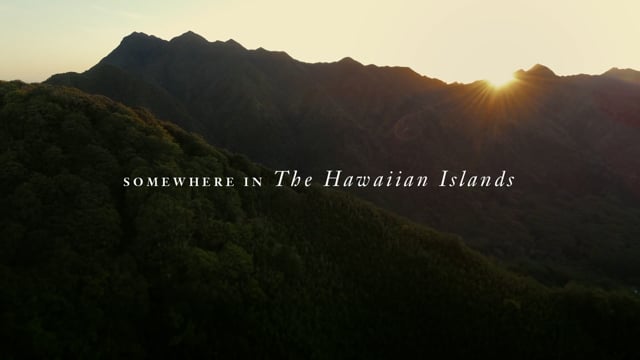 HVCB Malama- Reforestation LF Video