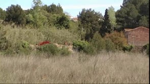 Faran un hotel i un camp de pràctiques de golf a l'Horta Vella de l'Escala