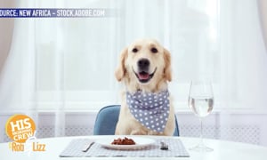 Cooking Meals for Your Pets