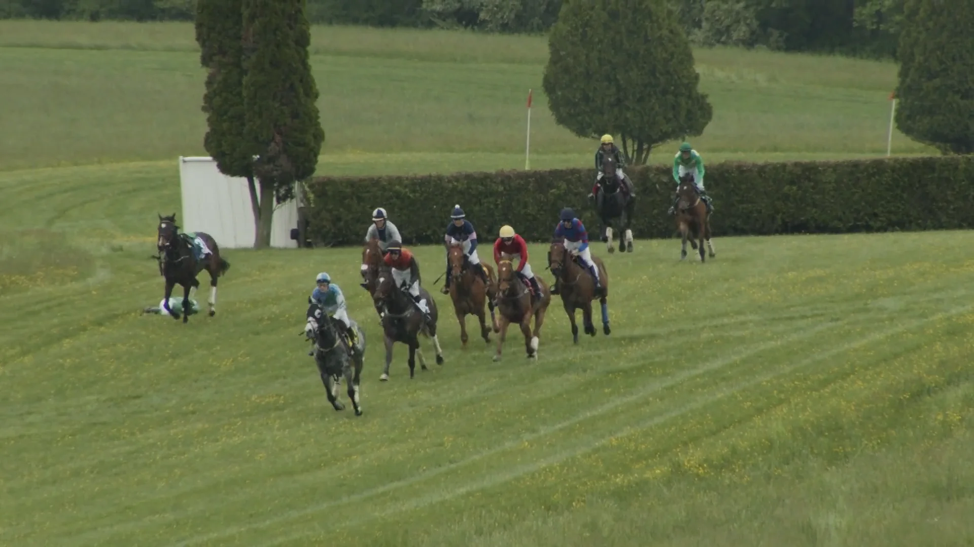 2022 Willowdale Steeplechase Willowdale Race 6 2022 M4v On Vimeo