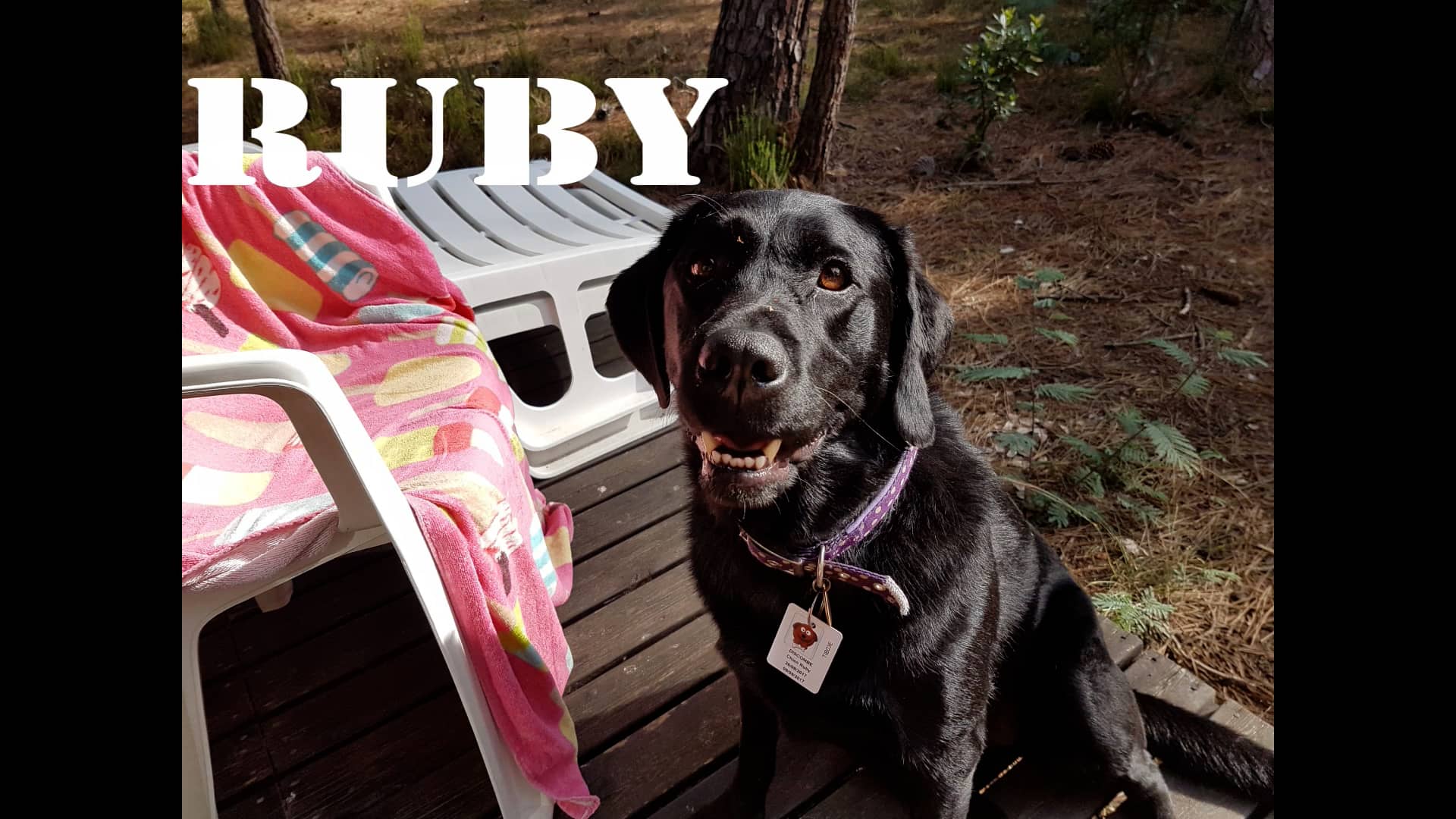 NATURISM ON VIMEO visual data 8