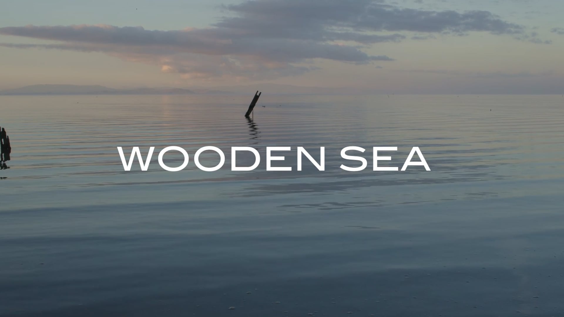 Wooden Sea Official Trailer 2022