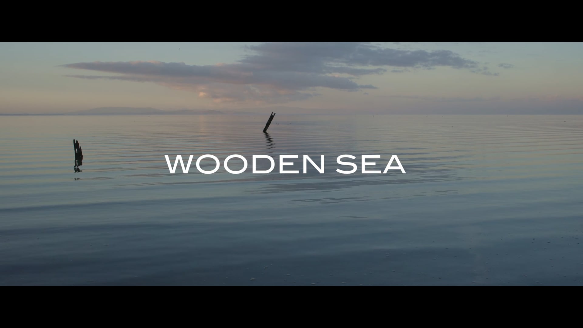Wooden Sea Official Trailer 2022