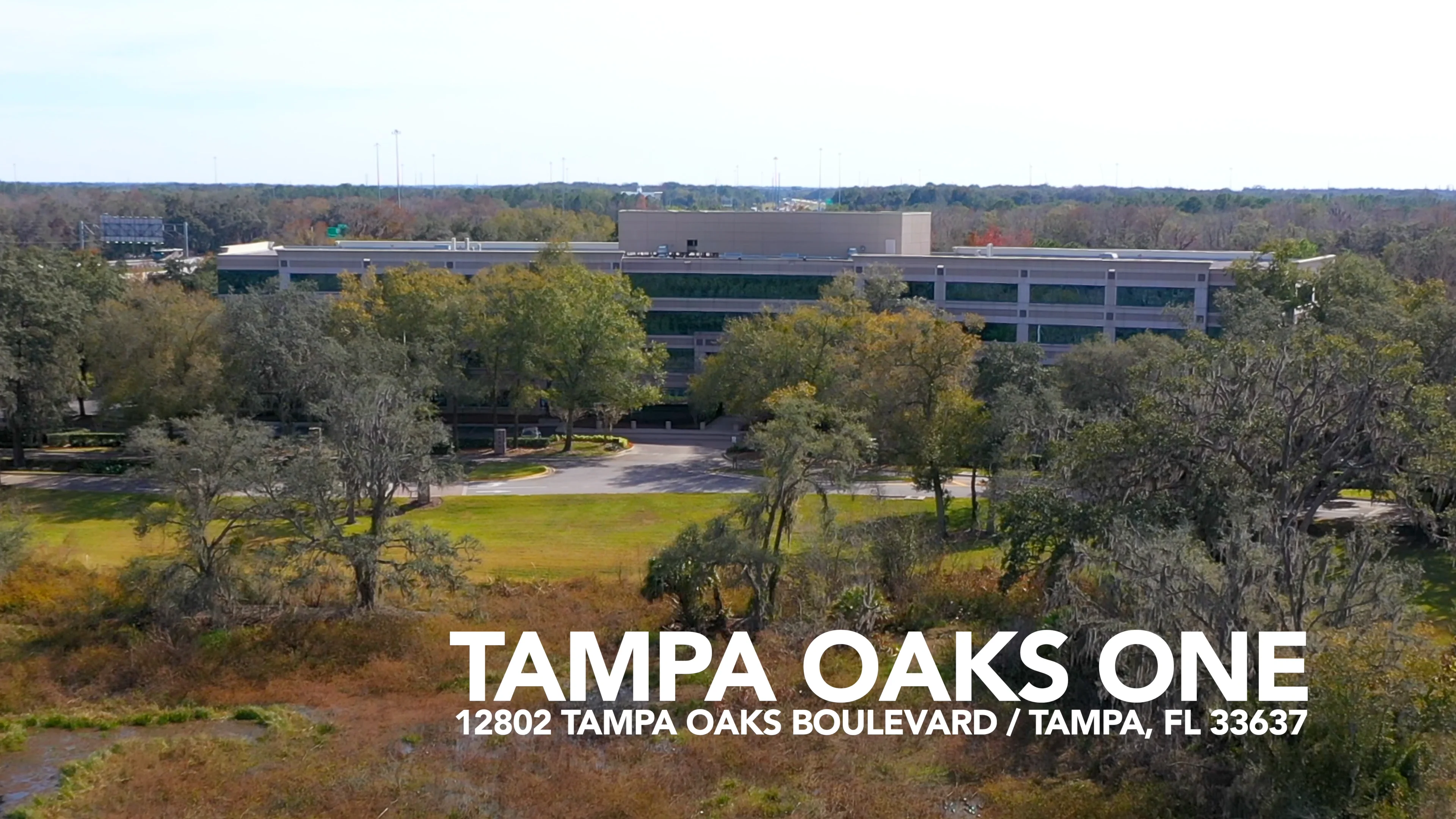 Tampa Mesothelioma Lawyer Vimeo - 0mg7q1g
