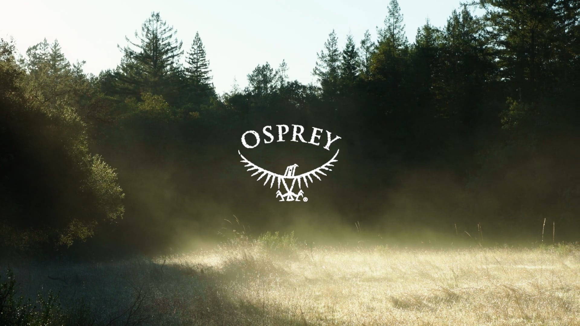 Osprey 2019 Bike Line Commercial