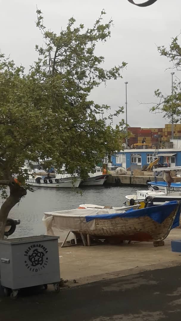 Müstakil Ev Tekirdağ Denize Sıfır 6+2 / 370 m2 Acil Satılık Müstakil 1