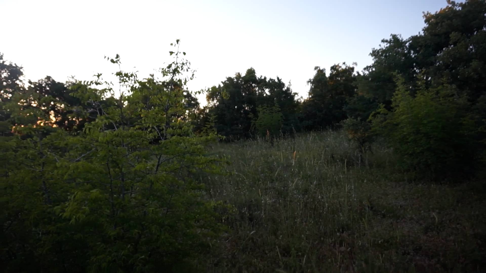 Tarla Çanakkale KAZDAĞ EMLAK�TAN ÇANAKKALE BAYRAMİÇ BIYIKLI KÖYÜ 20