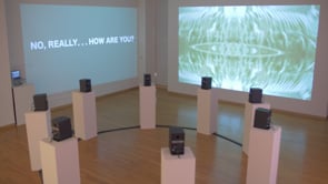 How Are You? No, Really...How Are You - Immersive Audiovisual Installation at SBMA (2022)