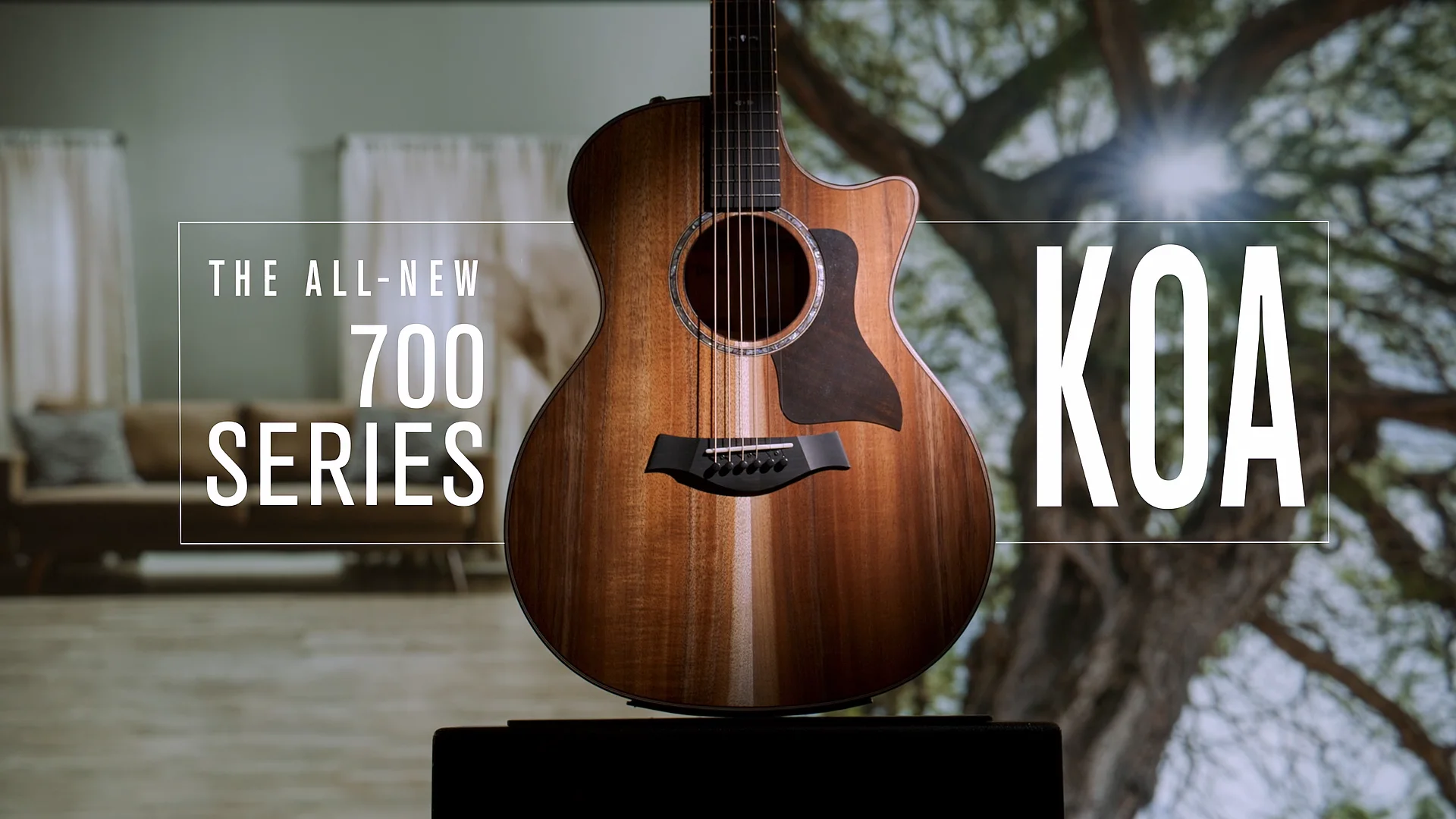 Taylor Koa コレクション ギター | Taylor Guitars