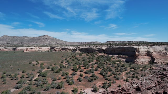 Sampler of a few trails at the Loma trailhead