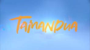 TAMANDUA - Film Day Submission