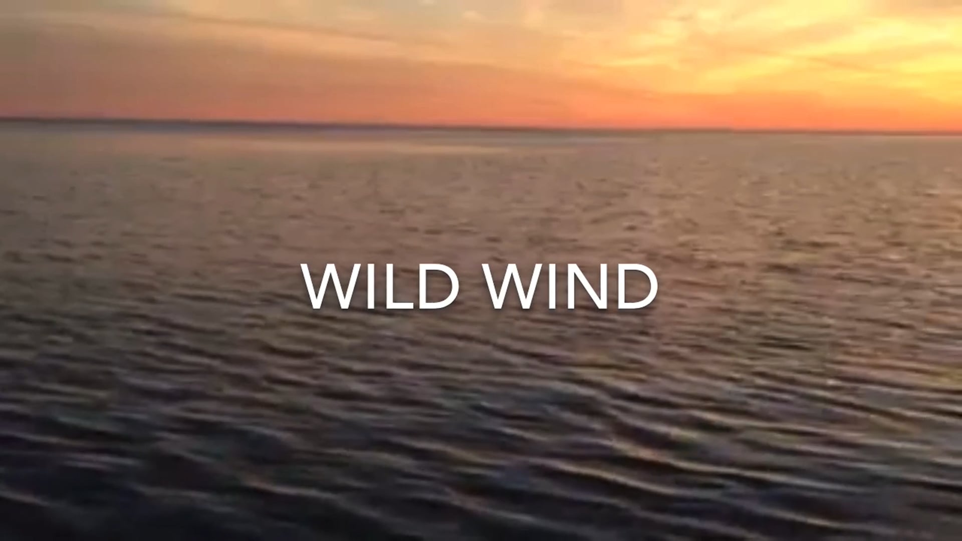 WILD WIND