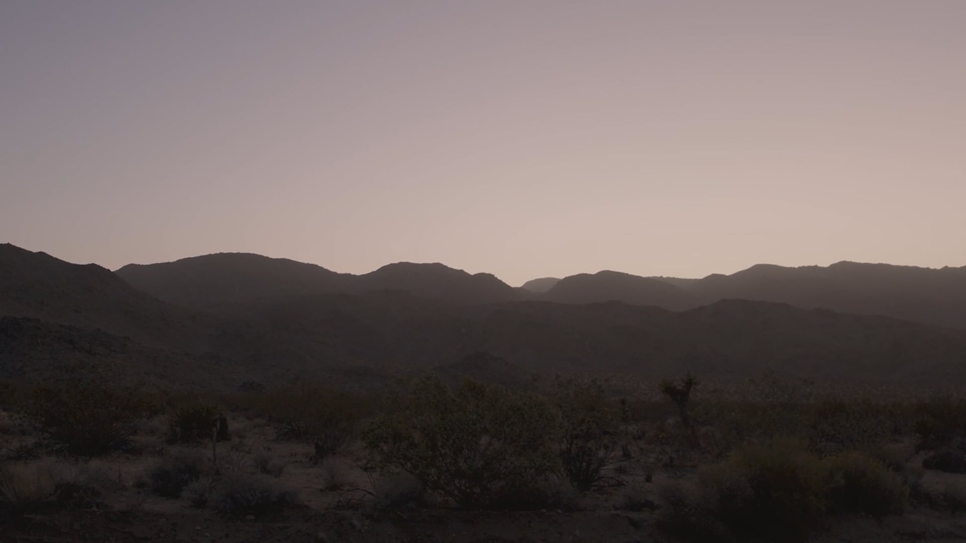 Director | Shooter | Editor