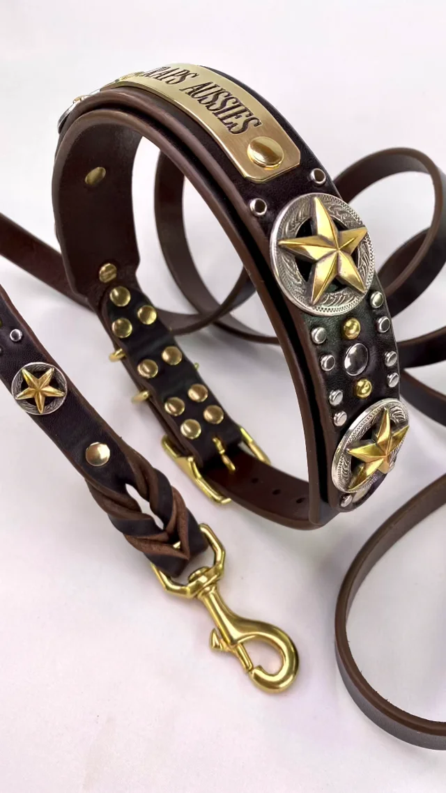 Handmade Medium Leather Dog Collar - Unique, Luxury Dog Collar